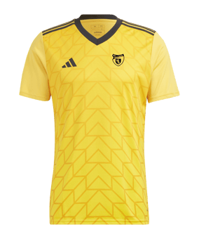 adidas Team Icon 23 Trikot Gold