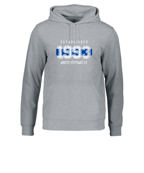 Merch Drummer 2.0 Hoody Heather Grey | #established