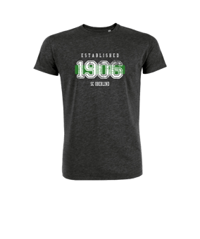 Merch Creator 2.0 T-Shirt Dark Heather Grey FC651