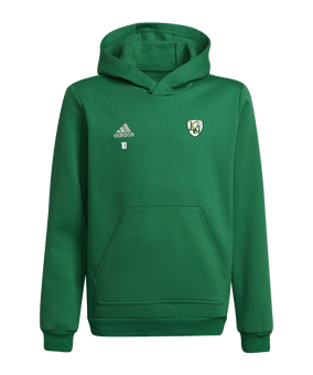Sweat à capuche adidas Entrada 22 enfants vert 
