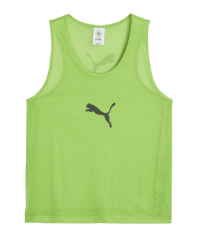 PUMA teamADDITIONS BIB Grün F48