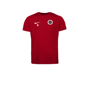 Nike Park VIII Maillot Enfants Rouge C657
