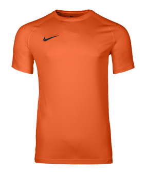 Nike Park VIII Trikot Orange F819 - orange