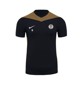 Maillot Nike Park Derby IV noir doré 