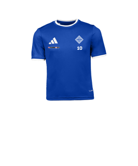 adidas Entrada 26 Trikot Kids Blau