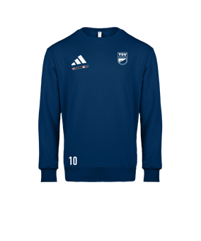 adidas Entrada 26 Sweatshirt Blau