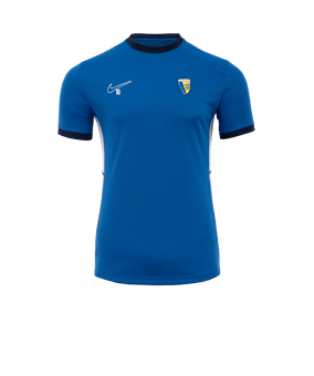 Nike Academy 25 Formation Bleu C463