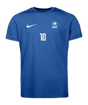 Nike Park VIII Trikot Kids Blau F463