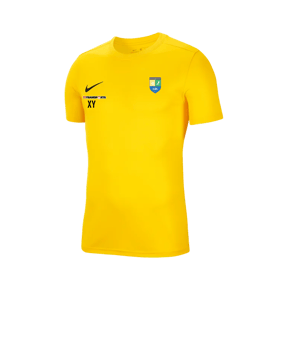 Nike Park VII Trikot kurzarm Gelb F719