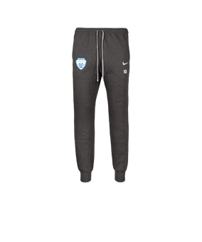 Nike Park 26 Pantalon de survêtement Gris C071