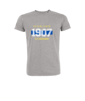 Merch Creator 2.0 T-Shirt Heather Grey FC250