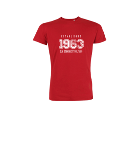 Merch Mini Creator 2.0 T-Shirt Kids Red | #established