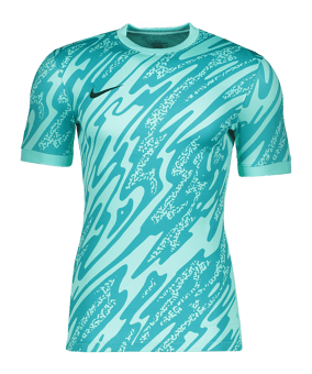 Nike Gardien V Torwarttrikot Türkis F354 - tuerkis