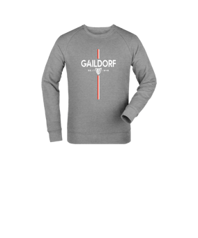 Merch Mini Changer 2.0 Sweatshirt Kids Heather Grey FC250