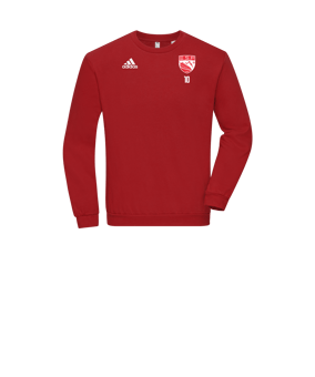 Sweatshirt enfant adidas Entrada 22 Rouge 