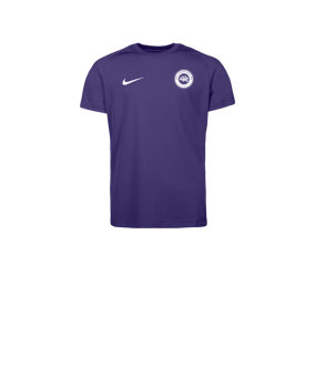 Nike Park VIII Maillot Enfants Violet C547