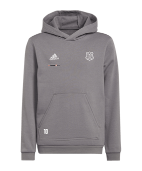 adidas Entrada 22 Hoody Kids Grau