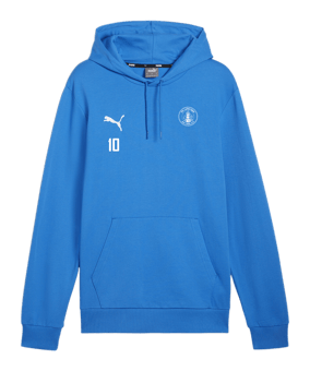 PUMA teamGOAL Casuals Hoody Blau F02