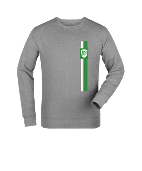 Merch Roller Sweatshirt Heather Grey | #stripes 2