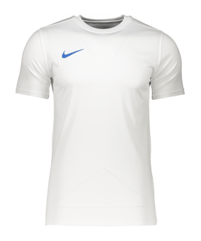 Nike Park VII Trikot Weiss Blau F102