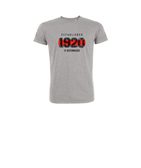 Merch Mini Creator 2.0 T-Shirt Kids Heather Grey | #established