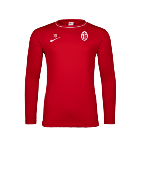 Nike Park 26 Longsleeve Rot F657
