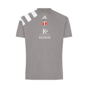 adidas Fortore 23 Trikot Grau Weiss (ADIDAS WC 2018 )