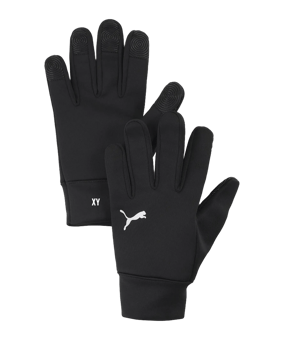 PUMA teamADDITIONS Winter Handschuhe Schwarz F01