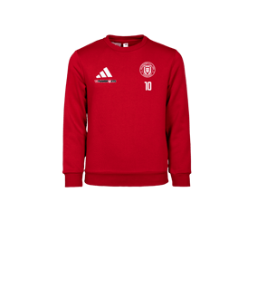 adidas Entrada 26 Sweatshirt Kids Rot