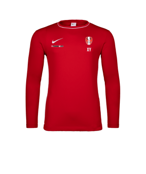 Nike Park 26 Longsleeve Rot F657