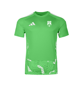adidas Tiro 26 Torwarttrikot Kurzarm Grün