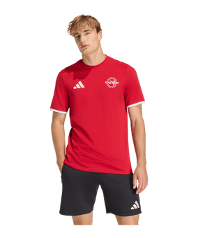 adidas Entrada 26 T-Shirt Rot