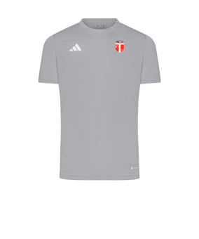 adidas Tabela 23 Trikot Grau Weiss