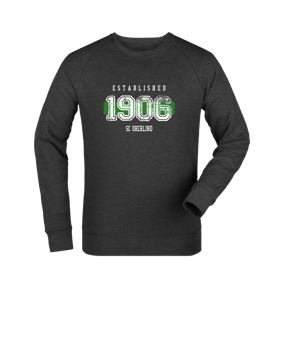 Merch Roller Sweatshirt Dark Heather Grey FC651