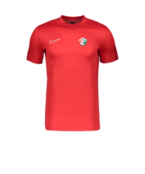 Nike Academy Trainingsshirt Rot F657