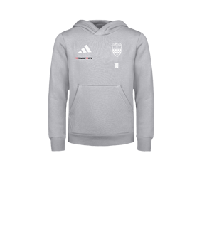 adidas Entrada 26 Hoody Kids Grau