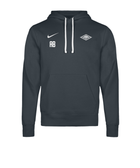 Nike Park 26 Hoody Grau F071