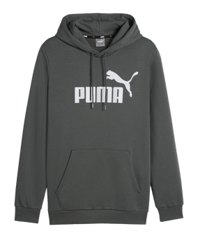 PUMA Essentials Big Logo Hoody Grau F069 - grau