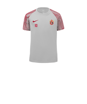 Nike Academy Trikot Kids Weiss Rot F100
