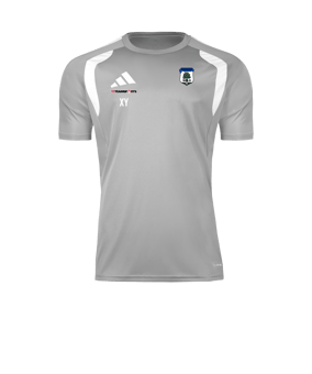 adidas Tiro 26 League Trikot Grau