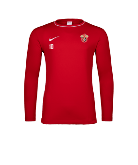 Nike Park 26 Longsleeve Rot F657