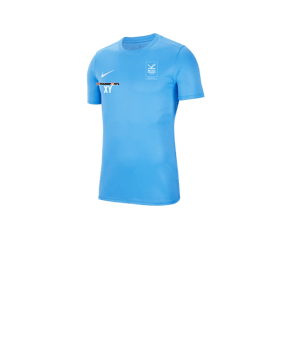 Nike Park VII Trikot kurzarm Kids Blau F412