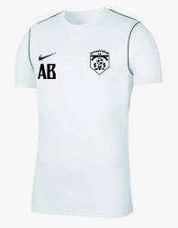 Nike Park 20 T-Shirt Kids Weiss F100