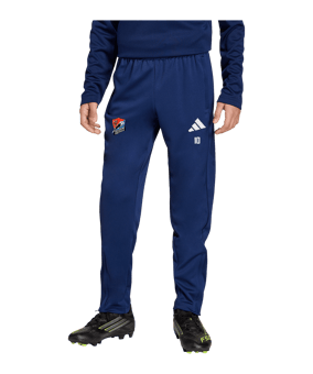 adidas Entrada 26 Pantalon d'entraînement Enfants Bleu