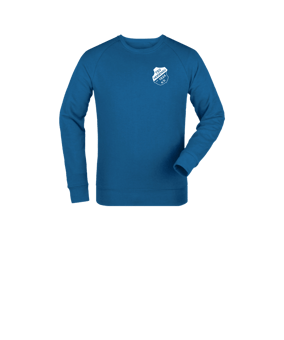 Merch Mini Changer 2.0 Sweatshirt Kids Royal Blue FC230
