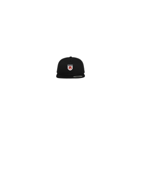 Merch 5 Panel Classic Snapback Cap Black | logo4c