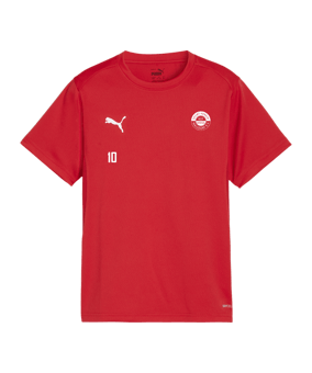 PUMA teamGOAL Trikot Kids Rot F01