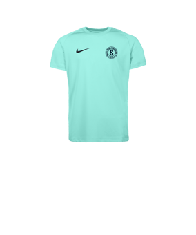 Nike Park VIII Trikot Kids Türkis F354