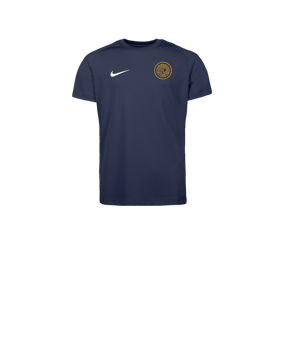 Nike Park VIII Trikot Kids Blau F410