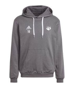 adidas Entrada 22 Hoody Grau